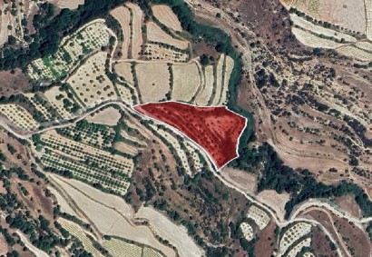 Kallepeia, Paphos Agricultural Land For Sale | DT2636