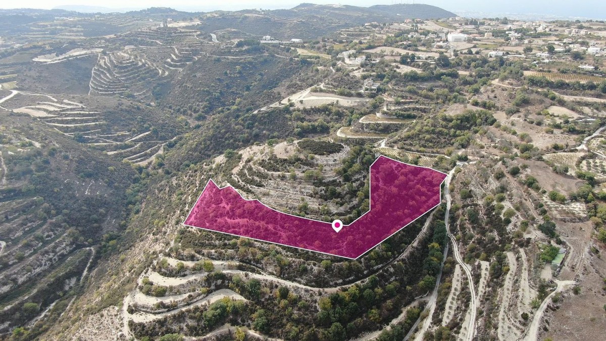 Koili, Paphos Agricultural Land For Sale | DT2662