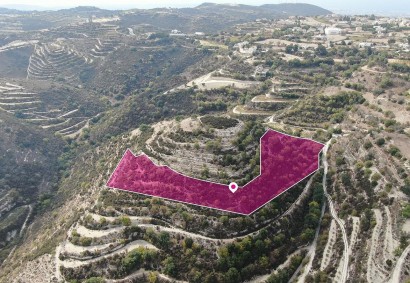 Koili, Paphos Agricultural Land For Sale | DT2662