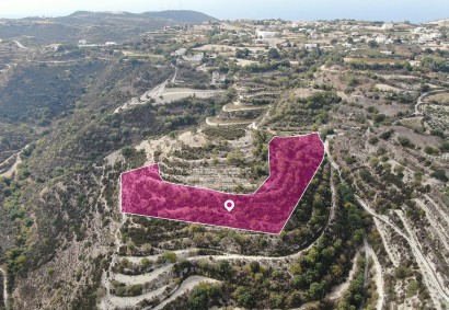 Koili, Paphos Agricultural Land For Sale | DT2662