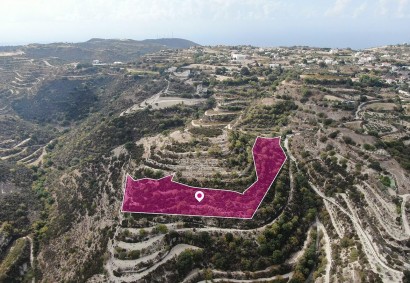 Koili, Paphos Agricultural Land For Sale | DT2662