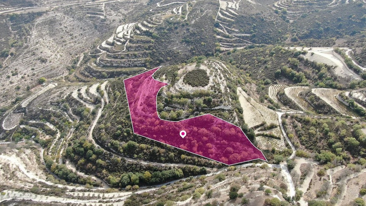 Agricultural field, Koili, Paphos