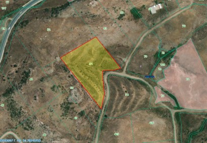 Anarita, Paphos Agricultural Land For Sale | DT2672