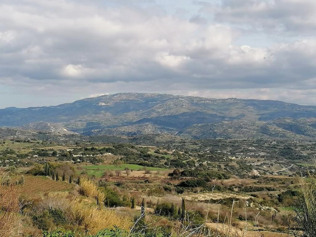 Polemi, Paphos Agricultural Land For Sale | DT2729