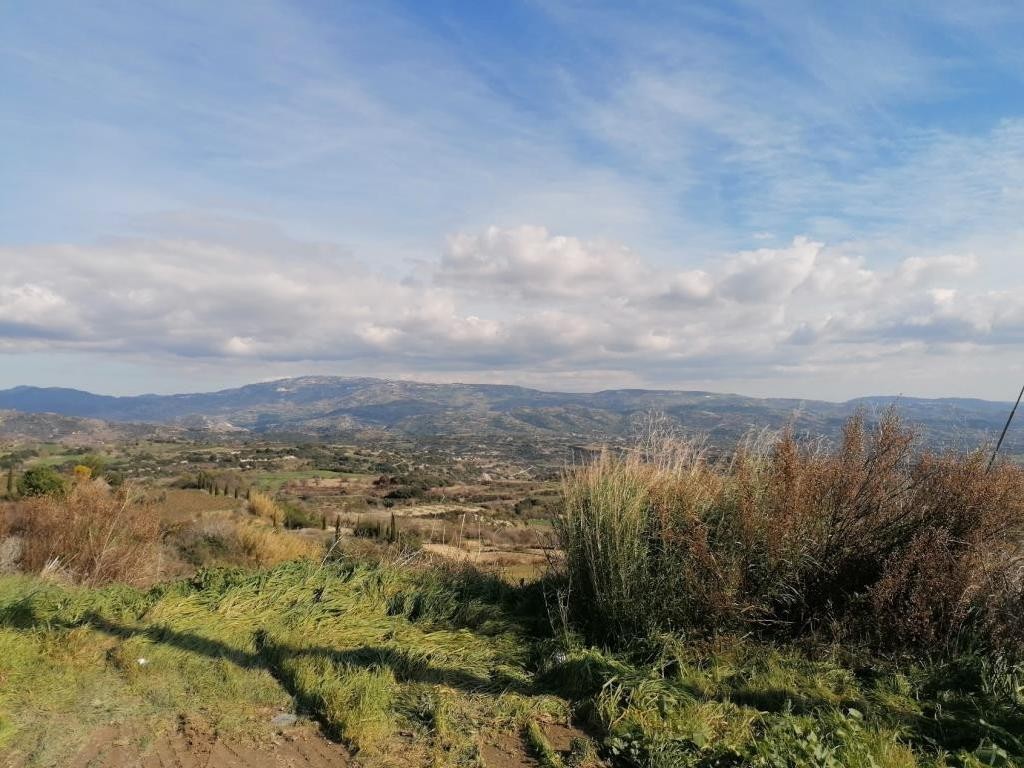 Field - Polemi, Paphos