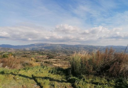 Polemi, Paphos Agricultural Land For Sale | DT2729
