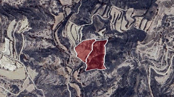 Polemi, Paphos Agricultural Land For Sale | DT2730