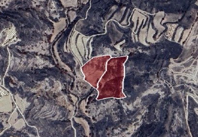 Polemi, Paphos Agricultural Land For Sale | DT2730