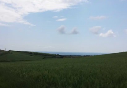 Anarita, Paphos Agricultural Land For Sale | DT2751