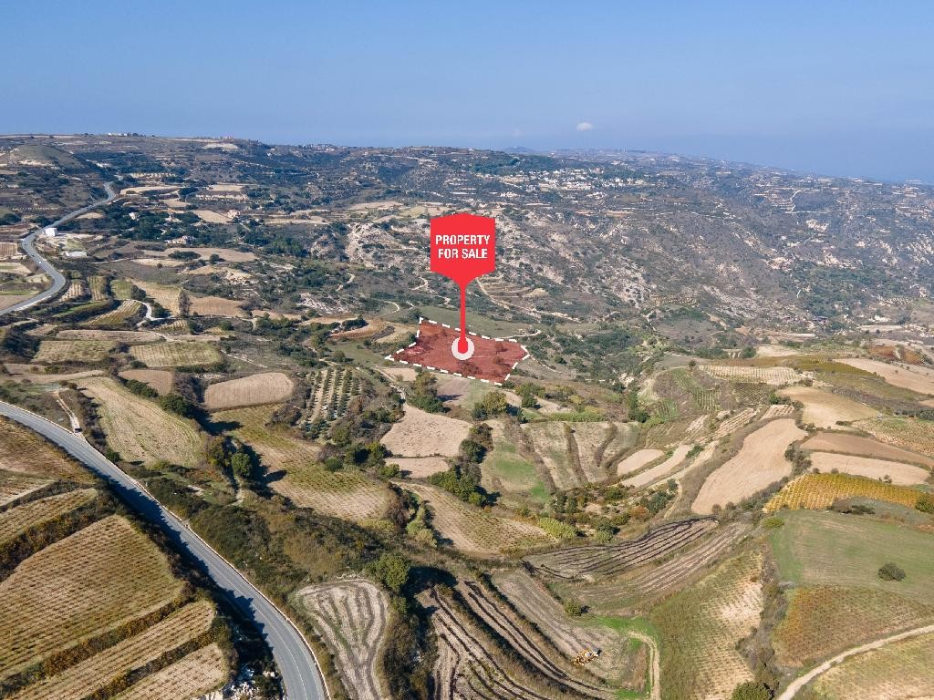 Theletra, Paphos Agricultural Land For Sale | DT2758