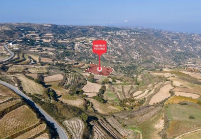 Theletra, Paphos Agricultural Land For Sale | DT2758