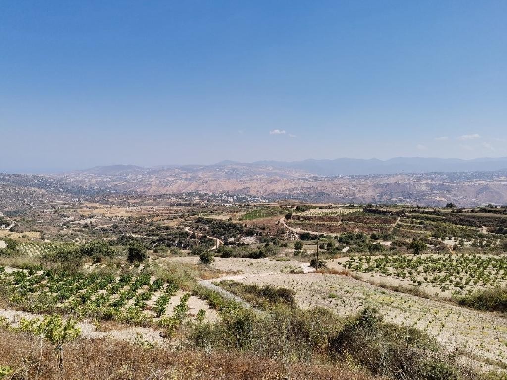 Field - Theletra, Paphos