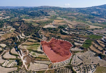 Theletra, Paphos Agricultural Land For Sale | DT2760
