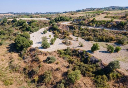 Theletra, Paphos Agricultural Land For Sale | DT2760