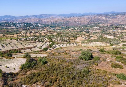 Theletra, Paphos Agricultural Land For Sale | DT2760