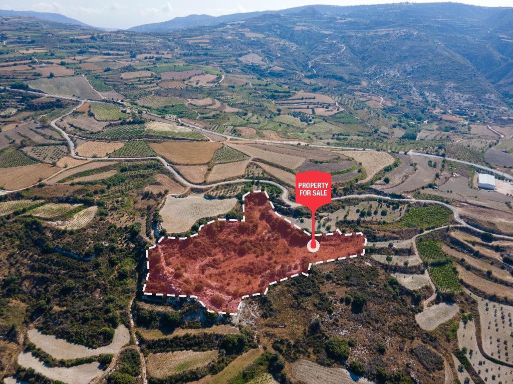 Agricultural Land For Sale  in  Theletra