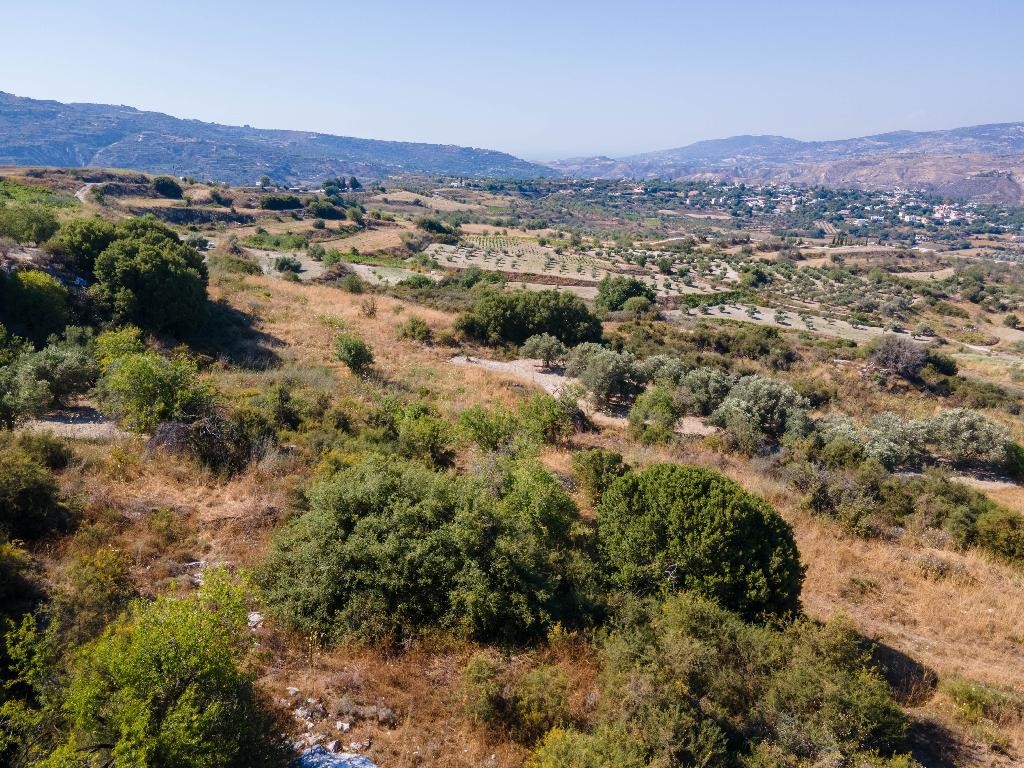Agricultural Land For Sale  in  Theletra