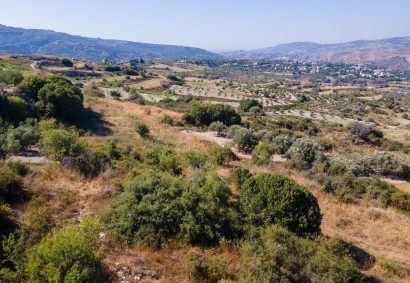 Theletra, Paphos Agricultural Land For Sale | DT2759