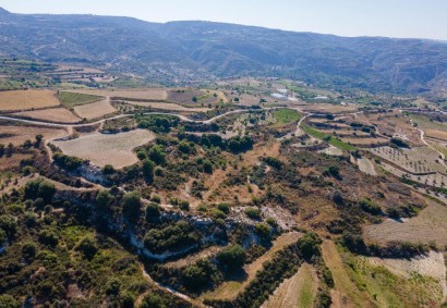 Theletra, Paphos Agricultural Land For Sale | DT2759