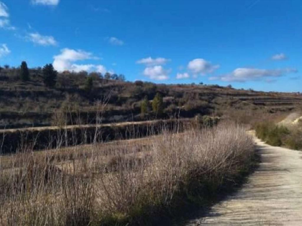 Kathikas, Paphos Agricultural Land For Sale | DT2763