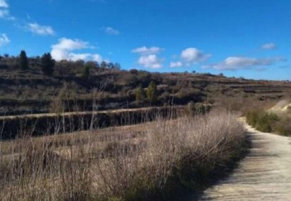Kathikas, Paphos Agricultural Land For Sale | DT2763