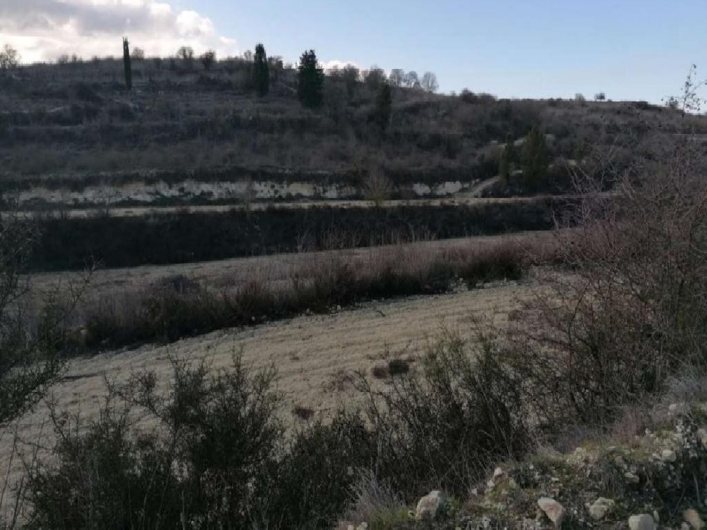 Agricultural Land For Sale  in  Kathikas