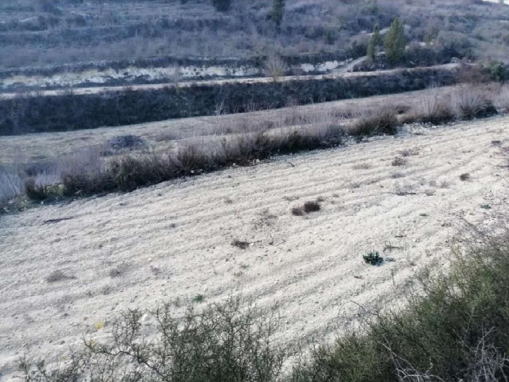 Agricultural Land For Sale  in  Kathikas
