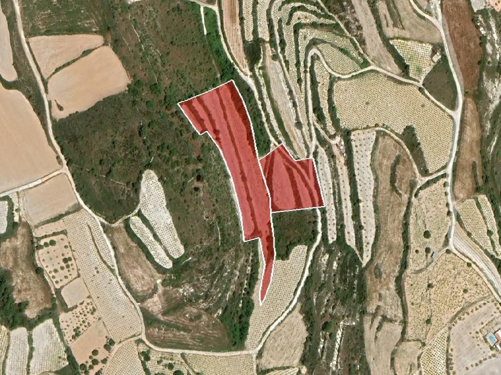 Agricultural Land For Sale  in  Kathikas