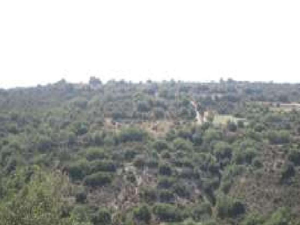 Polemi, Paphos Agricultural Land For Sale | DT2906