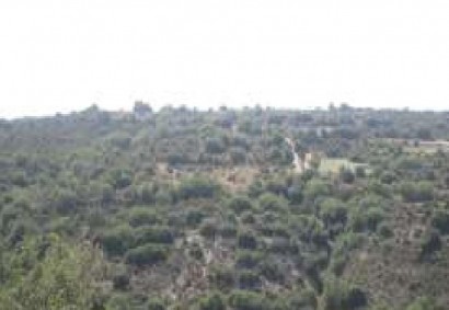 Polemi, Paphos Agricultural Land For Sale | DT2906