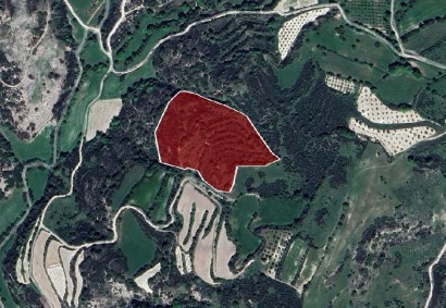 Polemi, Paphos Agricultural Land For Sale | DT2906