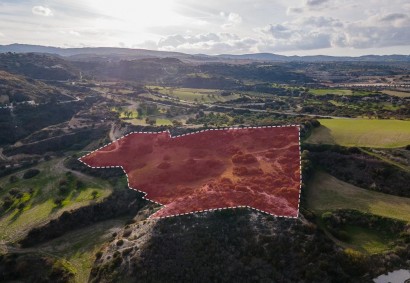 Drouseia, Paphos Agricultural Land For Sale | DT2908