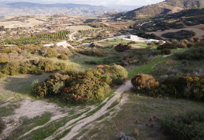 Drouseia, Paphos Agricultural Land For Sale | DT2908