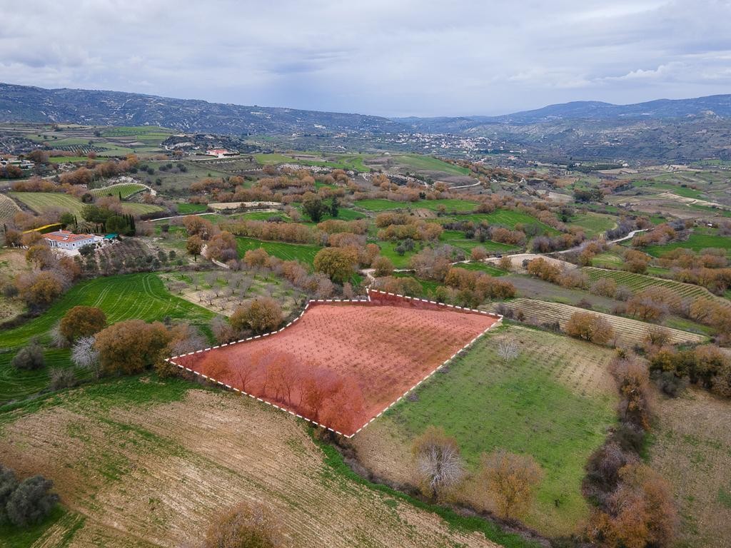Field - Stroumpi, Paphos
