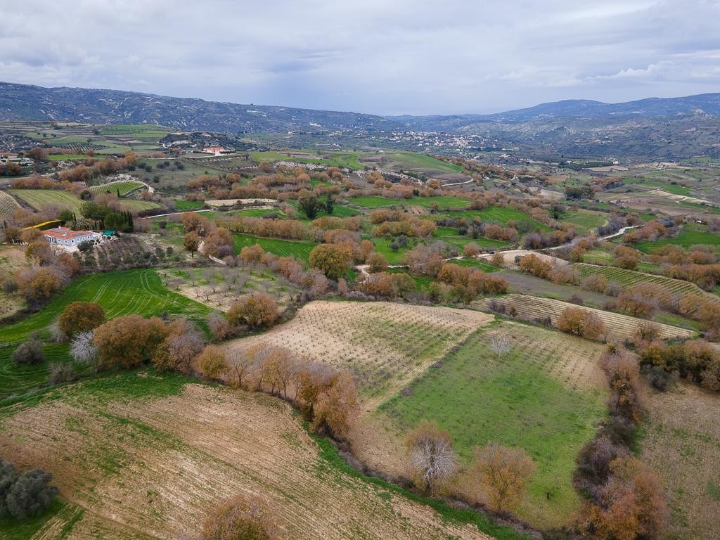 Field - Stroumpi, Paphos