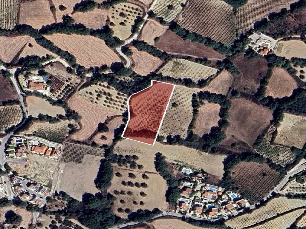 Field - Stroumpi, Paphos