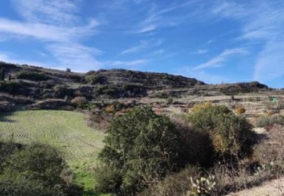 Theletra, Paphos Commercial Land For Sale | DT2999