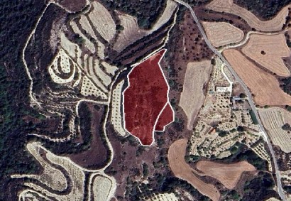 Theletra, Paphos Commercial Land For Sale | DT2999