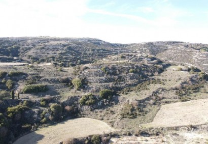 Theletra, Paphos Agricultural Land For Sale | DT3000