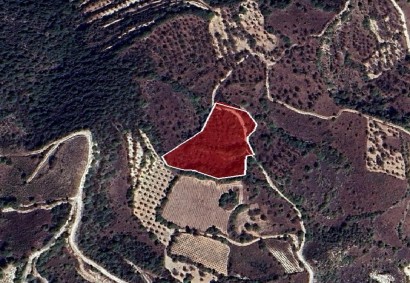 Theletra, Paphos Agricultural Land For Sale | DT3000