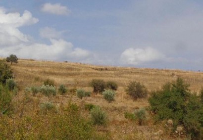Galataria, Paphos Agricultural Land For Sale | DT3007