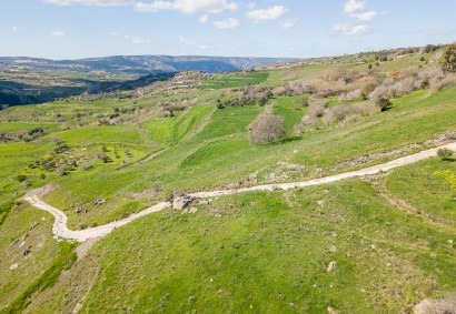 Thrinia, Paphos Residential Land For Sale | DT3151