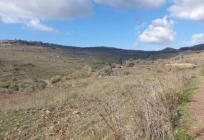 Ineia, Paphos Agricultural Land For Sale | DT3153