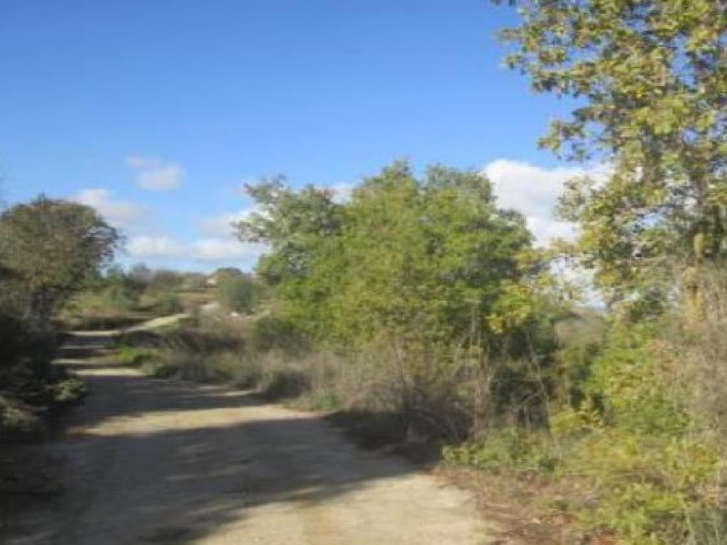 Polemi, Paphos Agricultural Land For Sale | DT3162