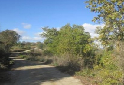 Polemi, Paphos Agricultural Land For Sale | DT3162
