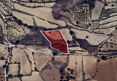Polemi, Paphos Agricultural Land For Sale | DT3162