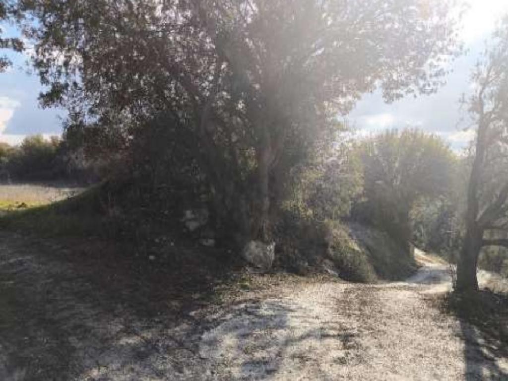 Kynousa, Paphos Residential Land For Sale | DT3191