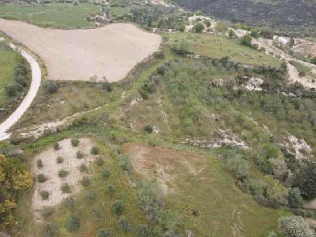 Tsada, Paphos Agricultural Land For Sale | DT3201
