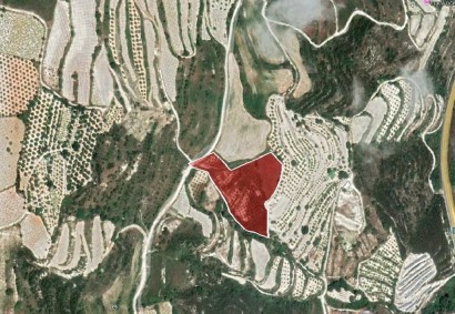 Tsada, Paphos Agricultural Land For Sale | DT3201