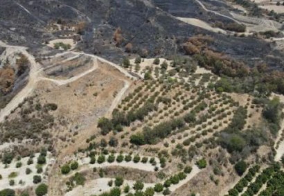 Giolou, Paphos Agricultural Land For Sale | DT3302
